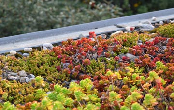 the cost of Badsey green roof installation