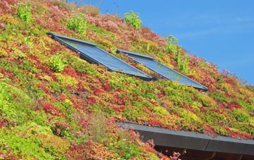 Badsey living roof systems