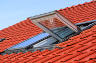 Badsey roof window